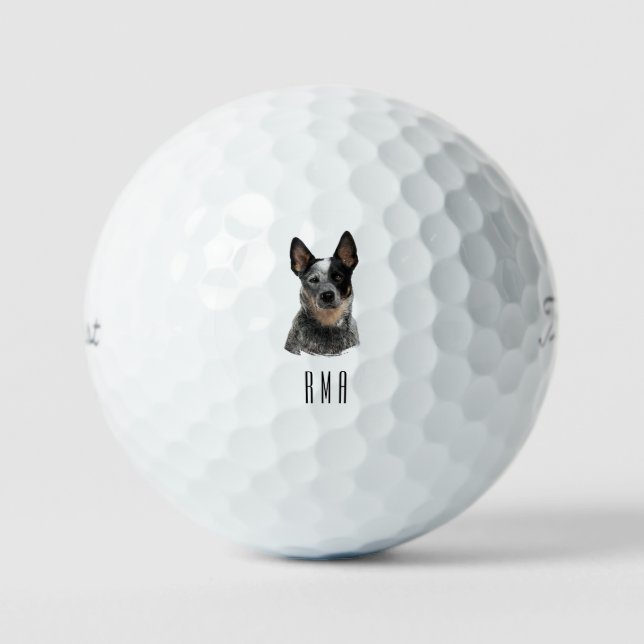 Pelotas De Golf Blue Heeler (Anverso)