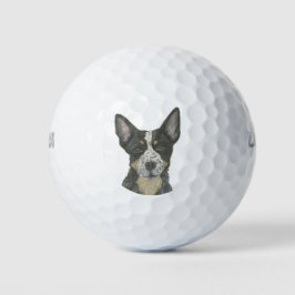 Pelotas De Golf Blue Heeler Cattledog