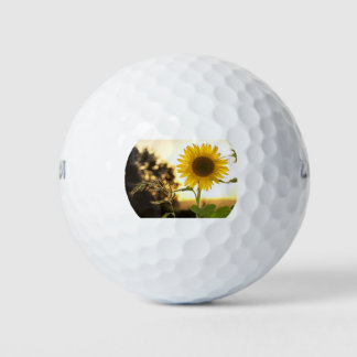 PELOTAS DE GOLF ***BOLA DE GOLF**