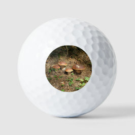 Pelotas De Golf boletus