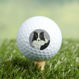 Pelotas De Golf Border Collie