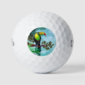Pelotas De Golf Bosque tropical tropical húmedo