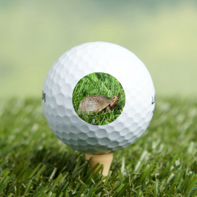 Pelotas De Golf Box Turtle (Camiseta in situ)