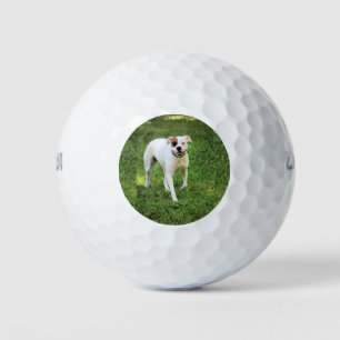 Pelotas De Golf Boxeador