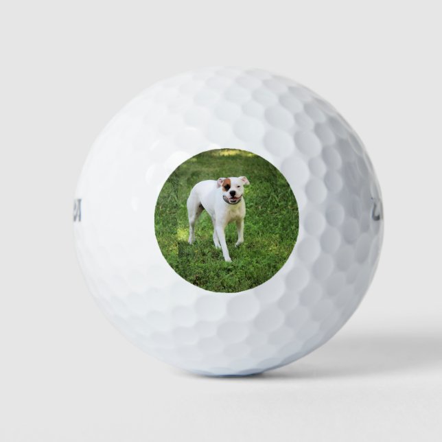 Pelotas De Golf Boxeador (Anverso)