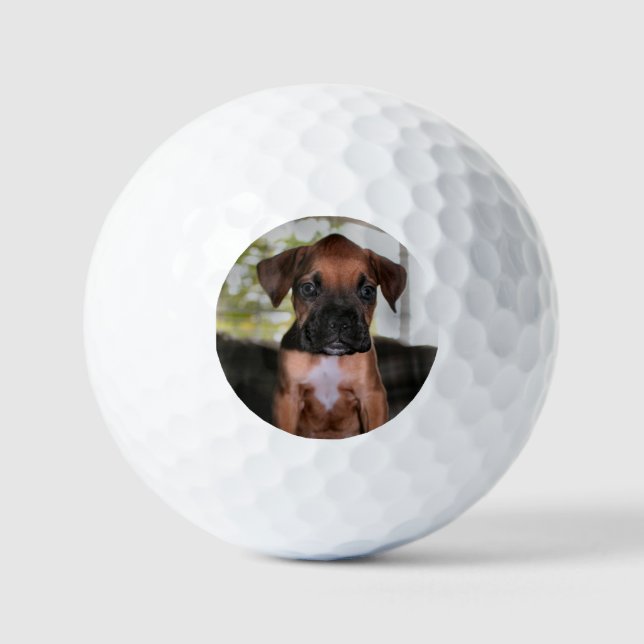 Pelotas De Golf Boxer Baby (Anverso)