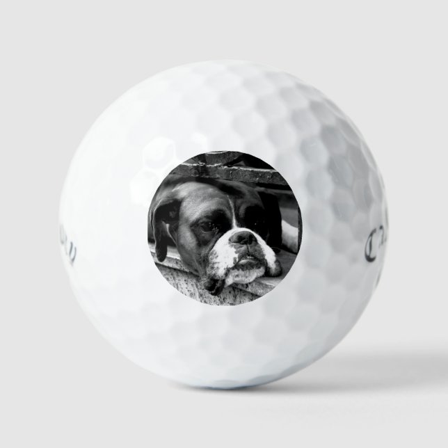 Pelotas De Golf Boxer Dog on Windowsill css gbcna (Anverso)