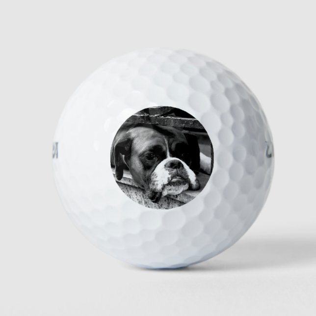 Pelotas De Golf Boxer Dog on Windowsill wu gbcna (Anverso)