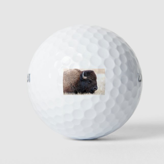 Pelotas De Golf Búfalo Bison Up Close (Anverso)