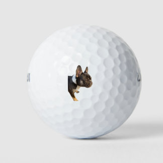 Pelotas De Golf Bulldog francés