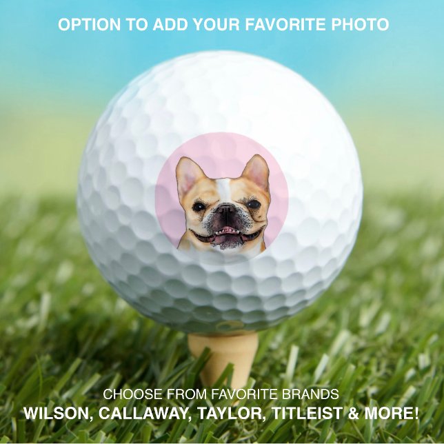 Pelotas De Golf Bulldog francés | Mascota Dog Photo Modern Persona (Subido por el creador)