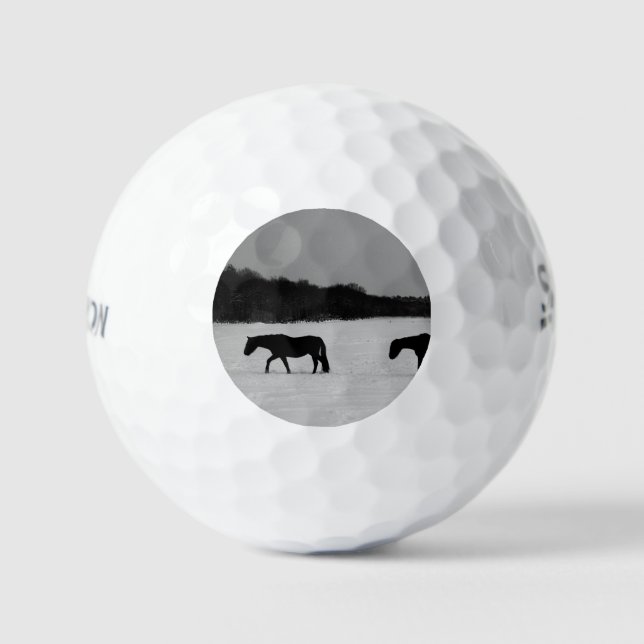 Pelotas De Golf Caballos en la nieve ssf gbcnm (Anverso)
