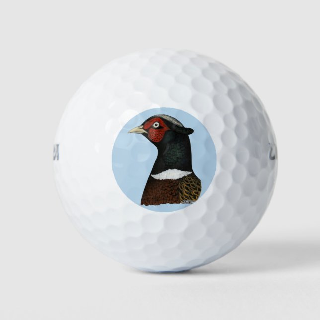 Pelotas De Golf Cabeza de Pheasant Ringneck (Anverso)