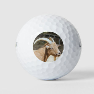 Pelotas De Golf Cabra
