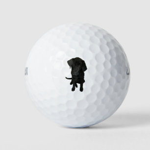 Pelotas De Golf Cachorro de laboratorio