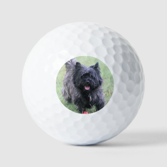 Pelotas De Golf Cairn (Anverso)
