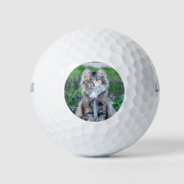 Pelotas De Golf Calico Cat