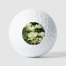 Pelotas De Golf Campo de tulipanes blancos Foto