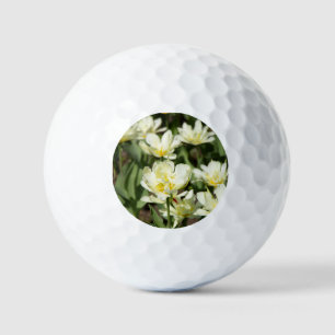 Pelotas De Golf Campo de tulipanes blancos Foto