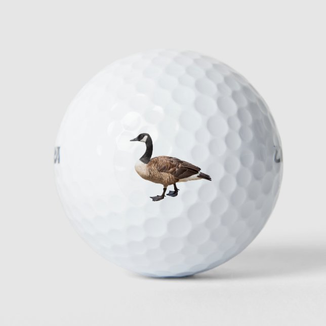 Pelotas De Golf Canada Goose (Anverso)