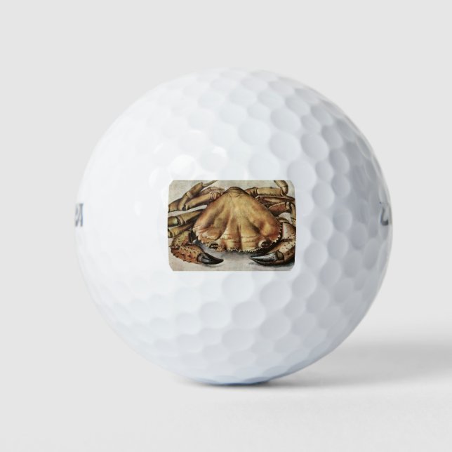 Pelotas De Golf Cangrejo (Creatura bajo el mar) (de Albrecht Durer (Anverso)