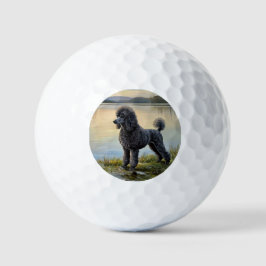 Pelotas De Golf Caniche