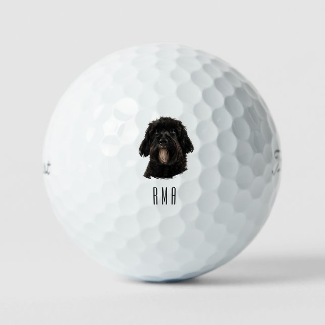 Pelotas De Golf Caniche negro (Anverso)