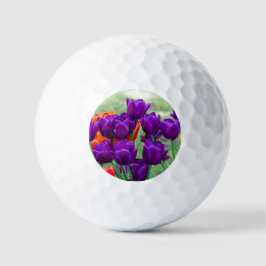 Pelotas De Golf Cañón de tulipanes morado oscuro