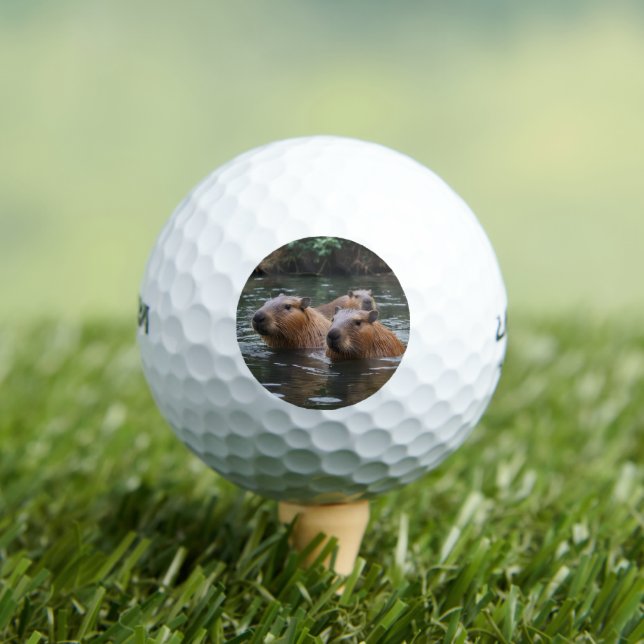 Pelotas De Golf Capybaras Nadando En El Río,  (Camiseta in situ)