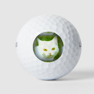 Pelotas De Golf cara de gato blanco