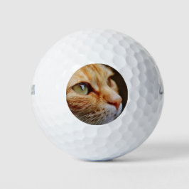 Pelotas De Golf Cara determinada de un gato jengibre
