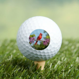 Pelotas De Golf Cardenal en una rama de Redbud