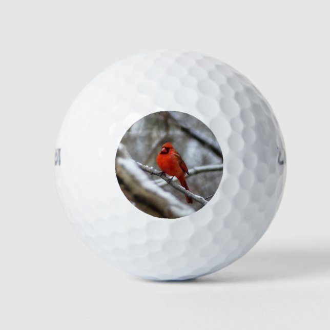 Pelotas De Golf Cardenal masculino (Anverso)