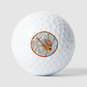Pelotas De Golf Cardenal norte volando - Fotografía original