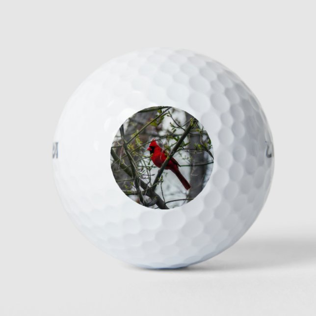 Pelotas De Golf Cardinal (Anverso)