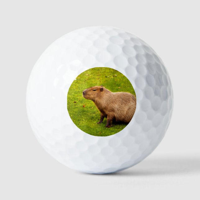 Pelotas De Golf Carpincho (Anverso)