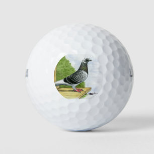 Pelotas De Golf Carreras Homer en la tabla de aterrizaje
