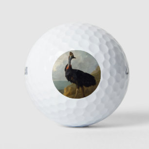 Pelotas De Golf Cassowary (pájaro australiano) (Arte de animales s