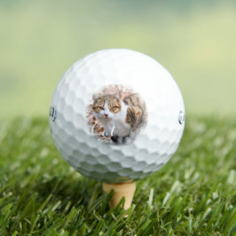 Pelotas De Golf Cat