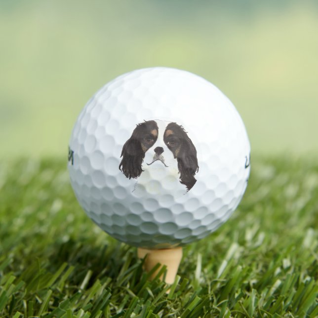 Pelotas De Golf Cavalier Tricolor King Charles Spaniel (Camiseta in situ)