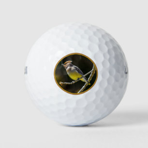 Pelotas De Golf Cedar Waxwing Songbird Foto original de ave silves