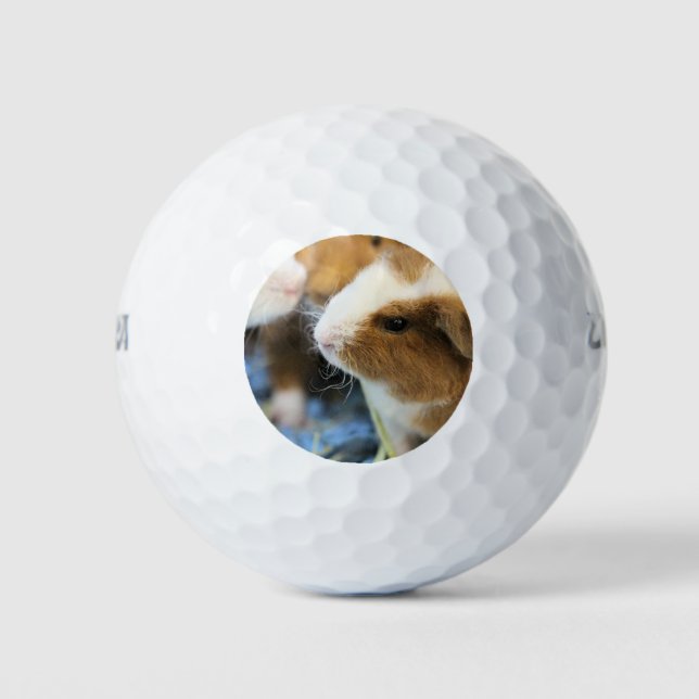 Pelotas De Golf Cerdo (Anverso)
