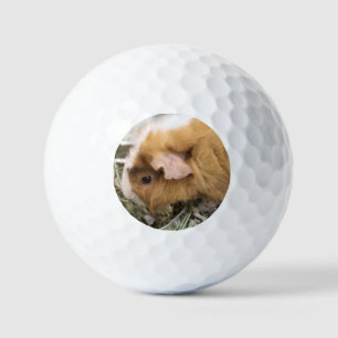 Pelotas De Golf Cerdo