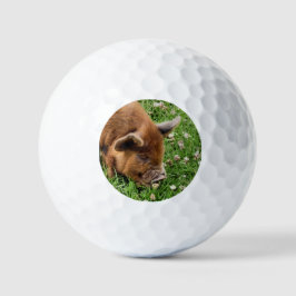 PELOTAS DE GOLF CERDO CUTIDO