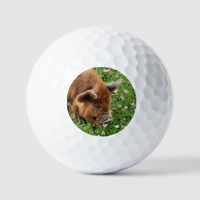 PELOTAS DE GOLF CERDO CUTIDO (Anverso)