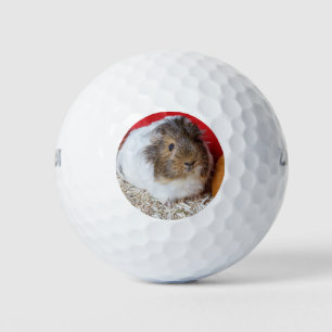 Pelotas De Golf Cerdo de Guinea en una jaula