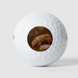 Pelotas De Golf Cerdos en una estable (arte animal)