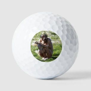 PELOTAS DE GOLF CHIMPANCÉ