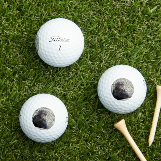 Pelotas De Golf Chimpanzee 013 (Césped in situ)
