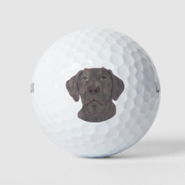 Pelotas De Golf Chocolate Labrador